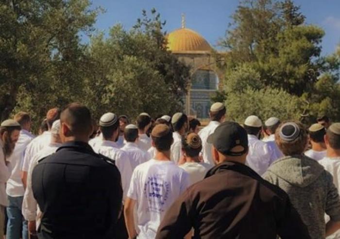 ما تسمى بـ “جماعات الهيكل” المزعوم تدعو لاقتحامات جماعية للمسجد الأقصى