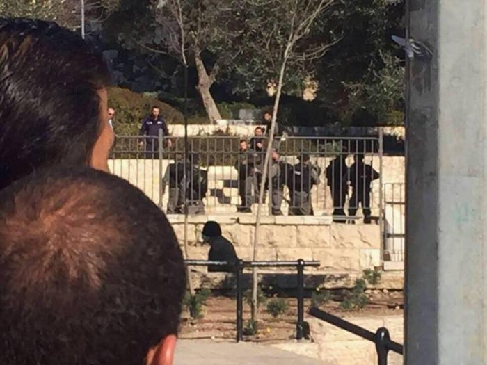 إصابة 4 صهاينة في عملية طعن قرب باب العامود في القدس