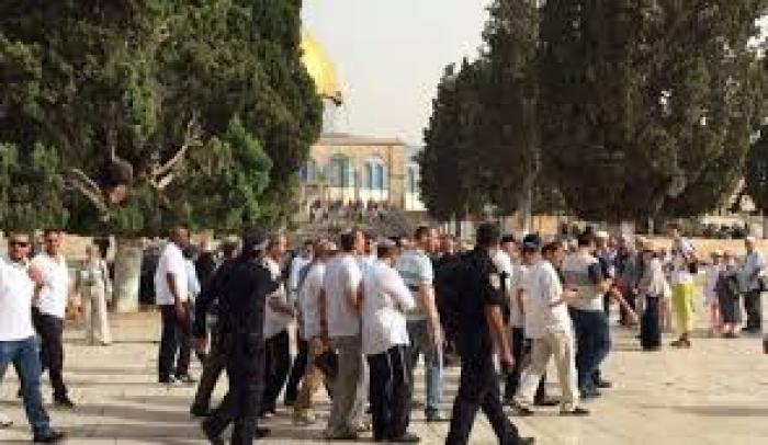 136 مستوطنًا يقتحمون المسجد الأقصى