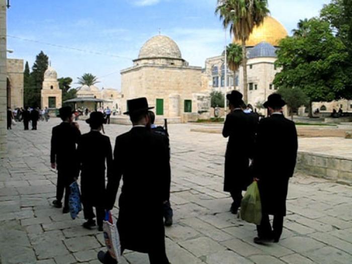 قطعان المستوطنون يقتحمون باحات المسجد الأقصى وسط حماية مشددة