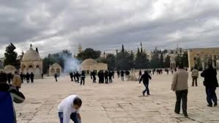 تنزيل (5)