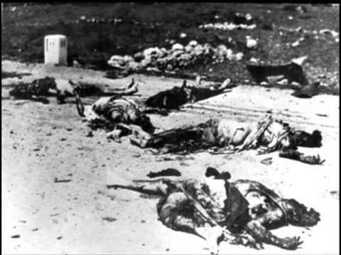 66 عاما على مذبحة قبية